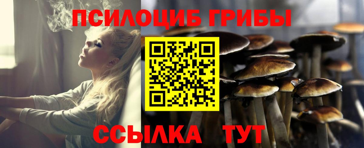 Псилоцибиновые грибы прущие грибы Нурлат